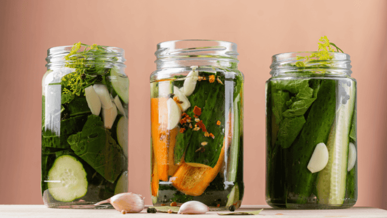Guide fermentation des aliments (1)