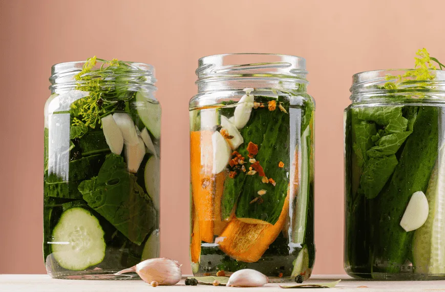 Guide fermentation des aliments (1)