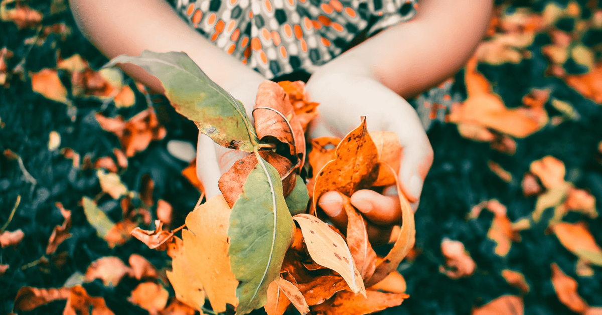 Comment ramasser les feuilles en automne