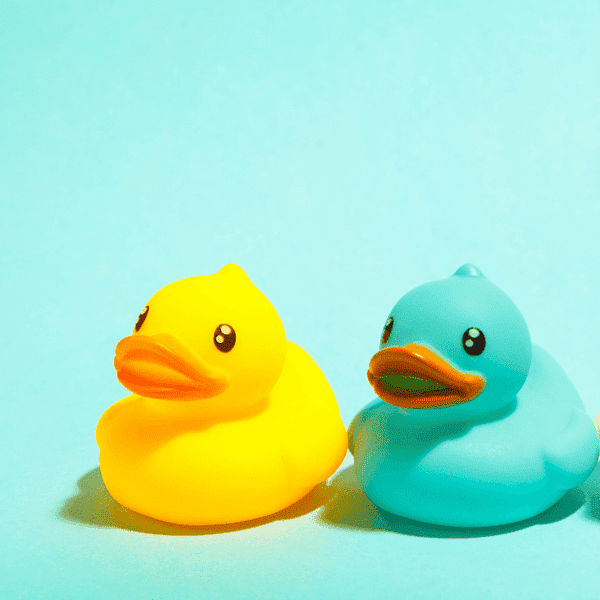 Meilleurs jouets de bain : Trois canards de bain sur un fond bleu.